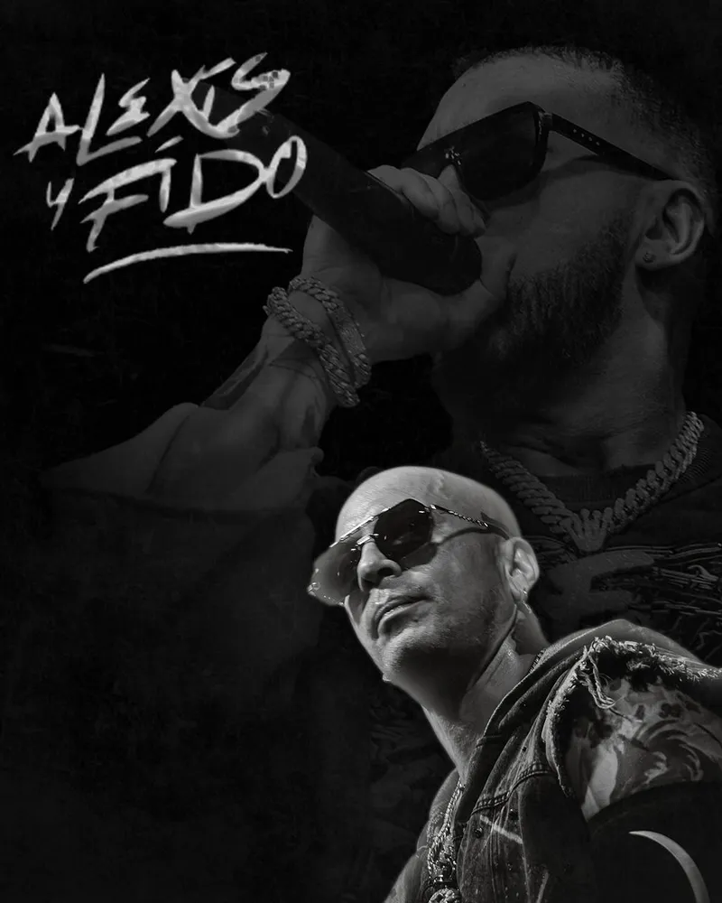 Monochrome concert artwork combining two performance portraits